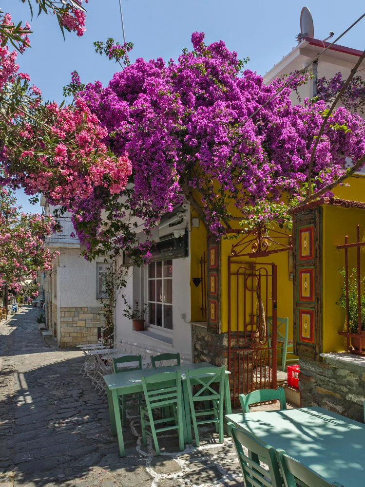 Papadiamantis Street in Skiathos Island
